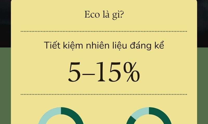 Infographic - Lợi ích của Eco